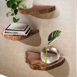 Baumscheiben Wandboards aus Akazie Massivholz - Tofana (dreiteilig) Regale