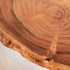 Baumscheiben Wandboards aus Akazie Massivholz - Tofana (dreiteilig) Regale