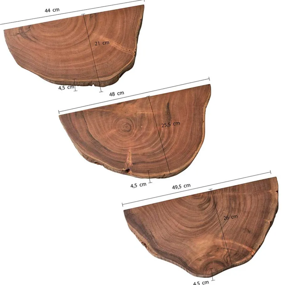 Baumscheiben Wandboards aus Akazie Massivholz - Tofana (dreiteilig) Regale