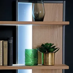 Best Designer Wohnwand aus Eiche - Assela (vierteilig) Wohnwände