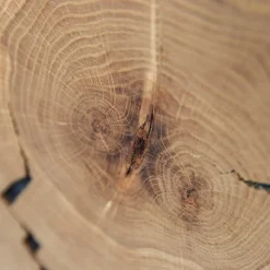 Sale Eichenholz TV Board mit Hirnholz Applikation - Deruta Tv & Hifi-Möbel|Lowboards