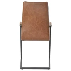 Best Freischwinger mit Armlehnen in Hellbraun - Dania (2er Set) Sessel