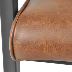 Best Freischwinger mit Armlehnen in Hellbraun - Dania (2er Set) Sessel