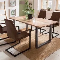 Best Freischwinger mit Armlehnen in Hellbraun - Dania (2er Set) Sessel