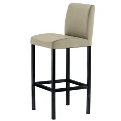 Sale Küchenhocker mit Rückenlehne - 65 cm Sitzhöhe - Vrona Hocker