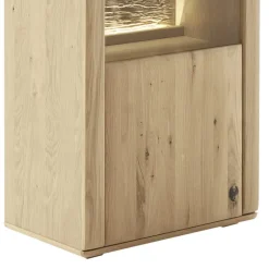 1-türige Vitrine mit Türanschlag links - Jevedaz Vitrinen