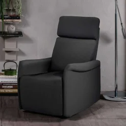 Best TV Wohnzimmersessel in Anthrazit - Zalona Sessel