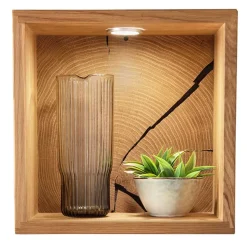 Best Wandregal 34x34x20 cm mit Rückwand - Acapella Regale