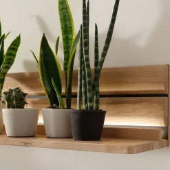 Sale Wohnzimmer Wandboard aus hellem Massivholz - Azzurian Regale