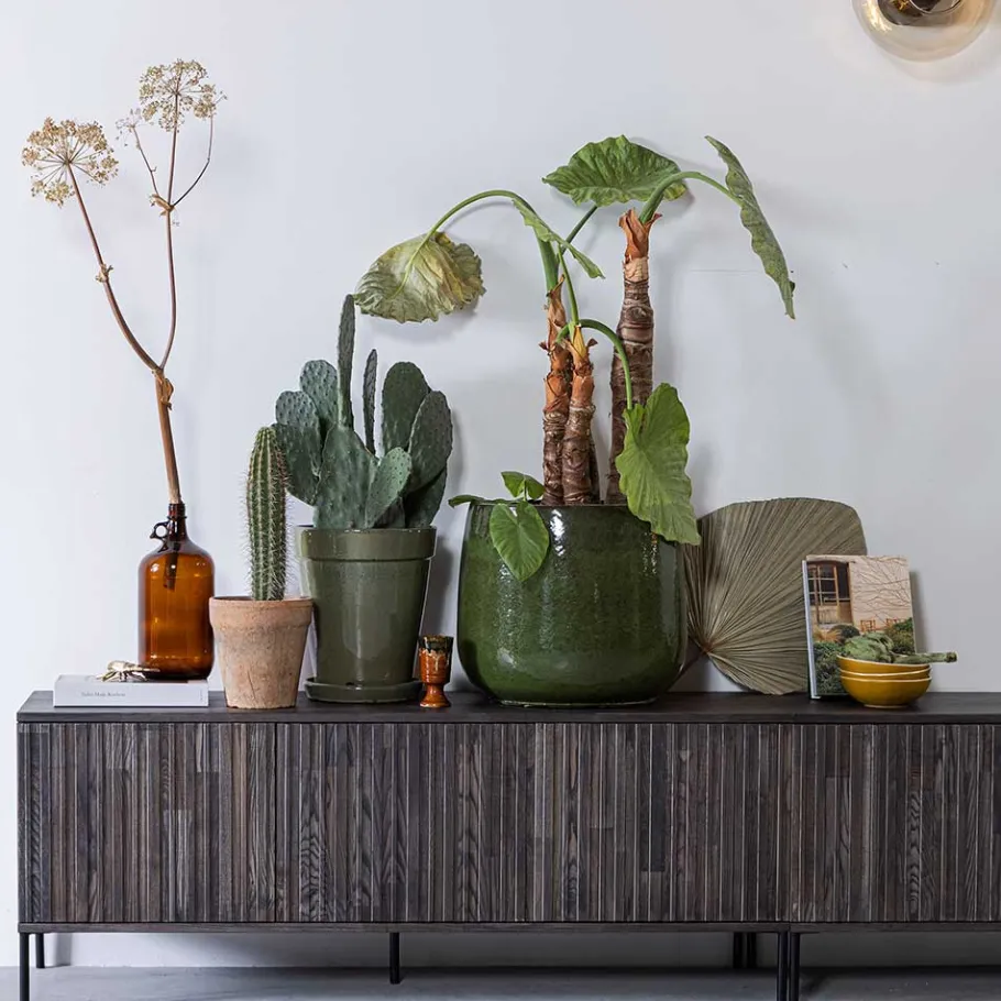 Best 150x56x44 Design Lowboard in Esche Dunkel - Eyes Lowboards